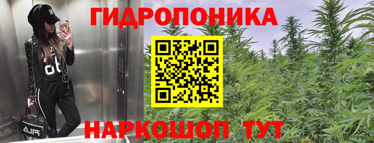 Конопля ГИДРОПОН Кудымкар